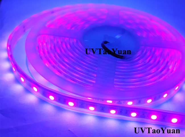 UV LED Strip Light SMD5050 395nm